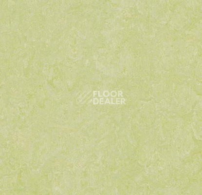 Линолеум Forbo Marmoleum Marbled Real 3881 Green Wellness фото 1 | FLOORDEALER